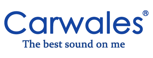 Carwales Malaysia Official Store